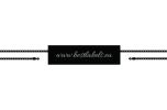 Scellé en plastique Model ST-M261
